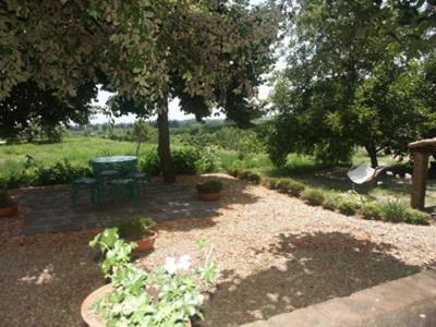 זפראנה אטניאה B&B Sotto I Pini מראה חיצוני תמונה