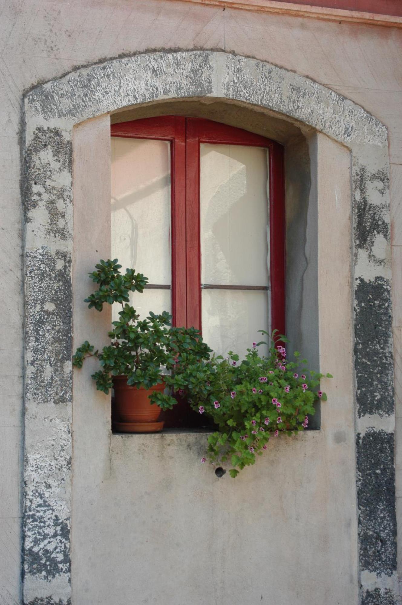 זפראנה אטניאה B&B Sotto I Pini מראה חיצוני תמונה